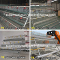 Chicken Cage System of Poultry Farm Equipments